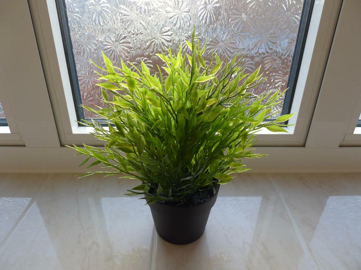 Wembley Homestay * Londra